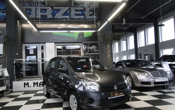 suzuki Suzuki Celerio cena 32700 przebieg: 76600, rok produkcji 2015 z Puławy